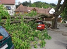 Kwikfynd Tree Cutting Services
londonlakes