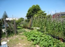 Kwikfynd Vegetable Gardens
londonlakes
